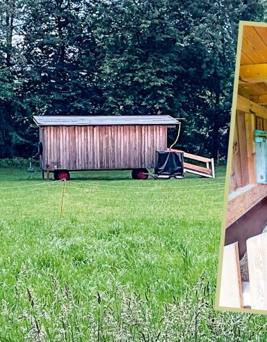 mobiler Schafstall mobiler Stall für Schafe mit Lärchenschallung